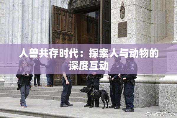人兽共存时代：探索人与动物的深度互动