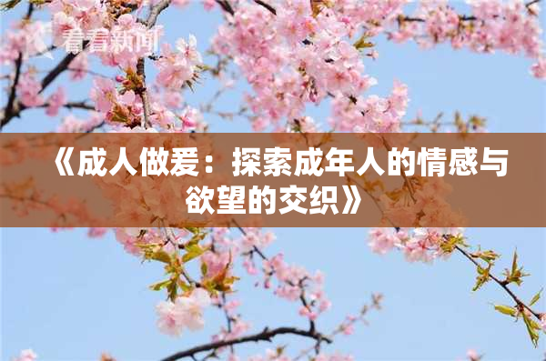 《成人做爰：探索成年人的情感与欲望的交织》