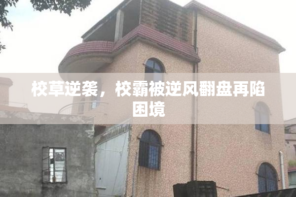 校草逆袭，校霸被逆风翻盘再陷困境