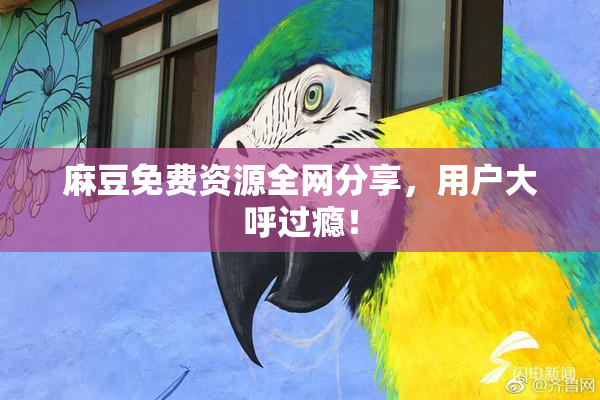 麻豆免费资源全网分享，用户大呼过瘾！