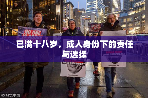 已满十八岁，成人身份下的责任与选择