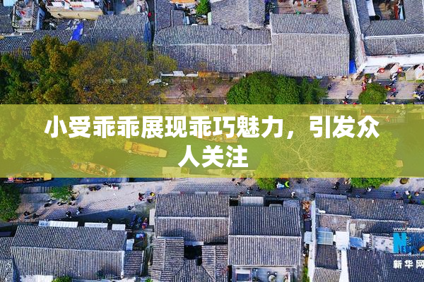 小受乖乖展现乖巧魅力，引发众人关注