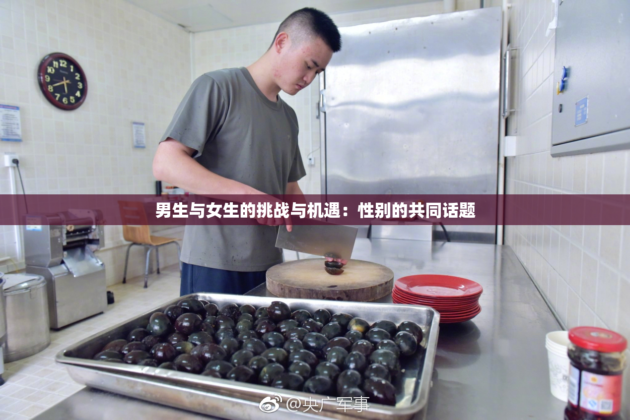 男生与女生的挑战与机遇：性别的共同话题