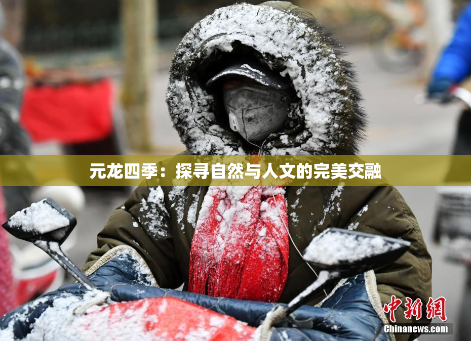 元龙四季：探寻自然与人文的完美交融