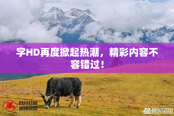 字HD再度掀起热潮，精彩内容不容错过！