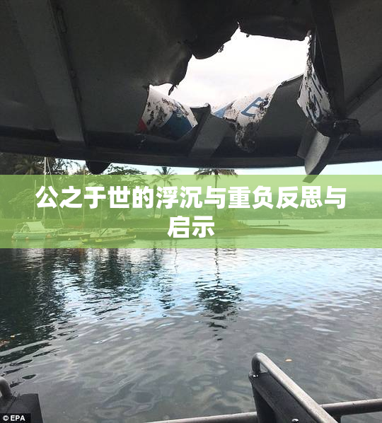 公之于世的浮沉与重负反思与启示
