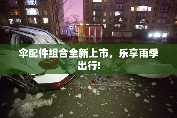 伞配件组合全新上市，乐享雨季出行!