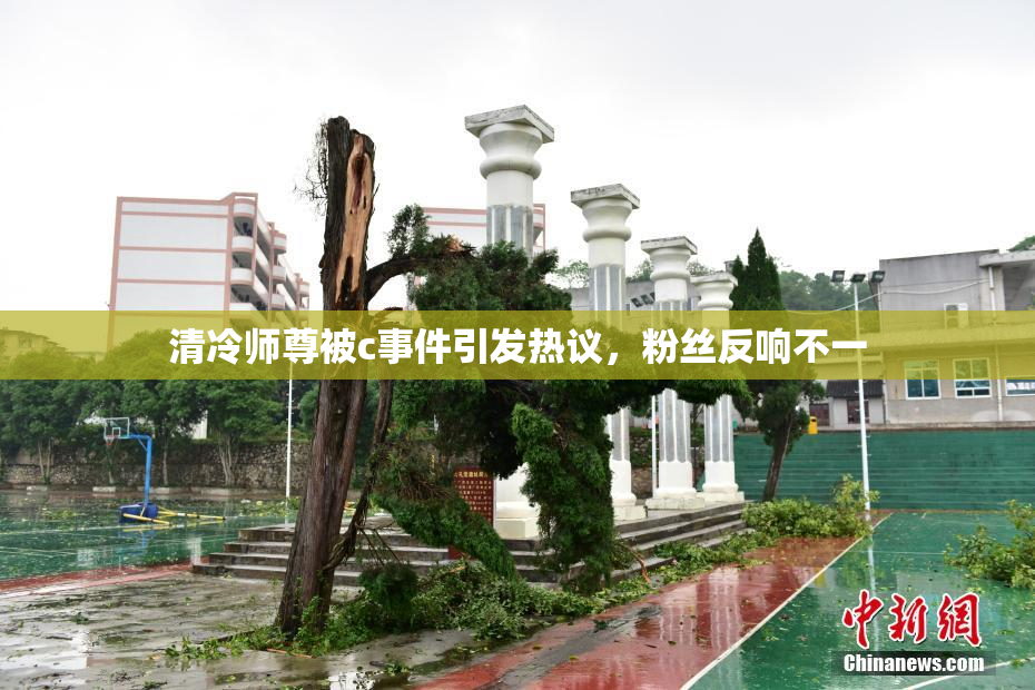 清冷师尊被c事件引发热议，粉丝反响不一