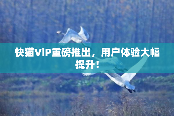 快猫ViP重磅推出，用户体验大幅提升！