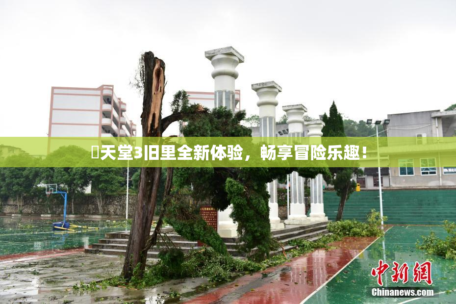 妺天堂3旧里全新体验，畅享冒险乐趣！