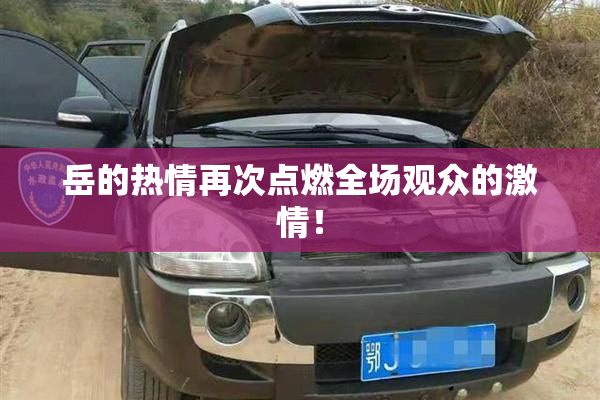 岳的热情再次点燃全场观众的激情！