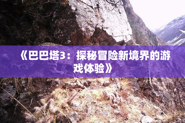 《巴巴塔3：探秘冒险新境界的游戏体验》