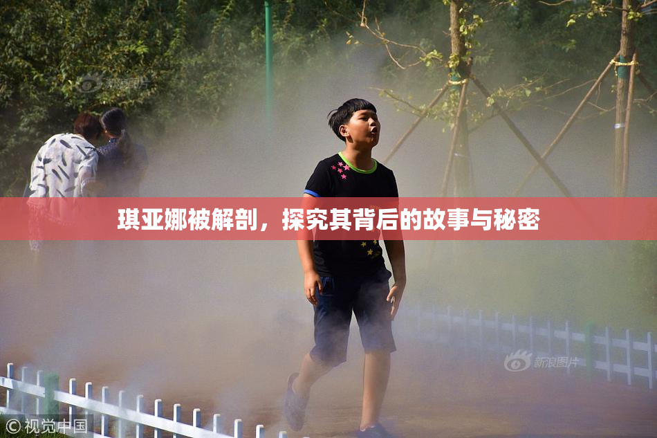 琪亚娜被解剖，探究其背后的故事与秘密