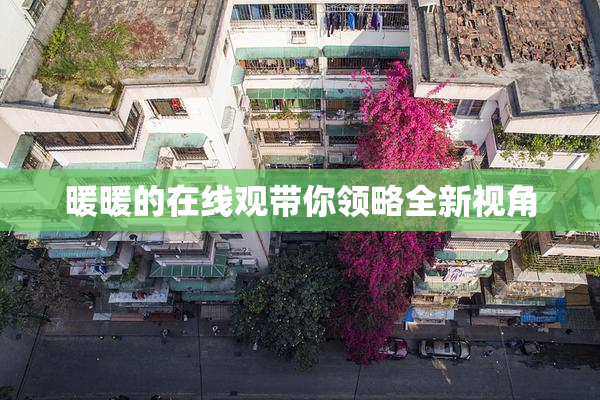暖暖的在线观带你领略全新视角