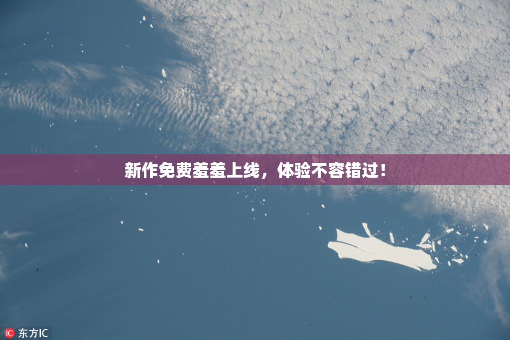 新作免费羞羞上线，体验不容错过！