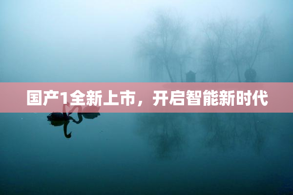 国产1全新上市，开启智能新时代