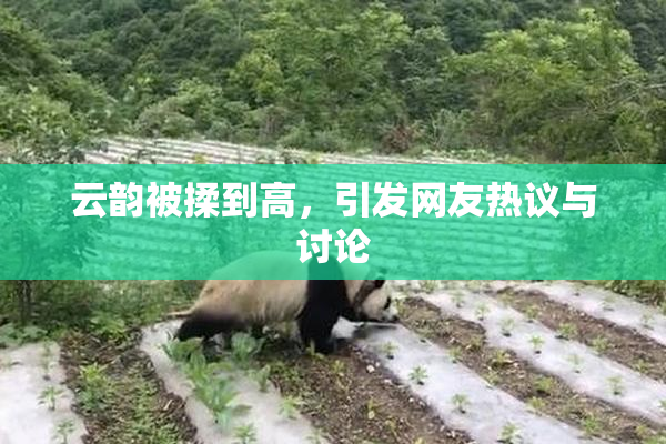 云韵被揉到高，引发网友热议与讨论