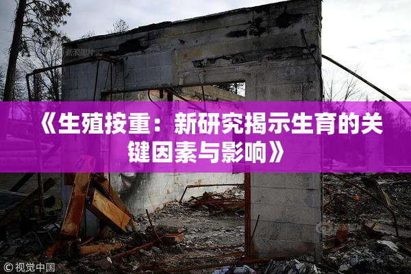 《生殖按重：新研究揭示生育的关键因素与影响》