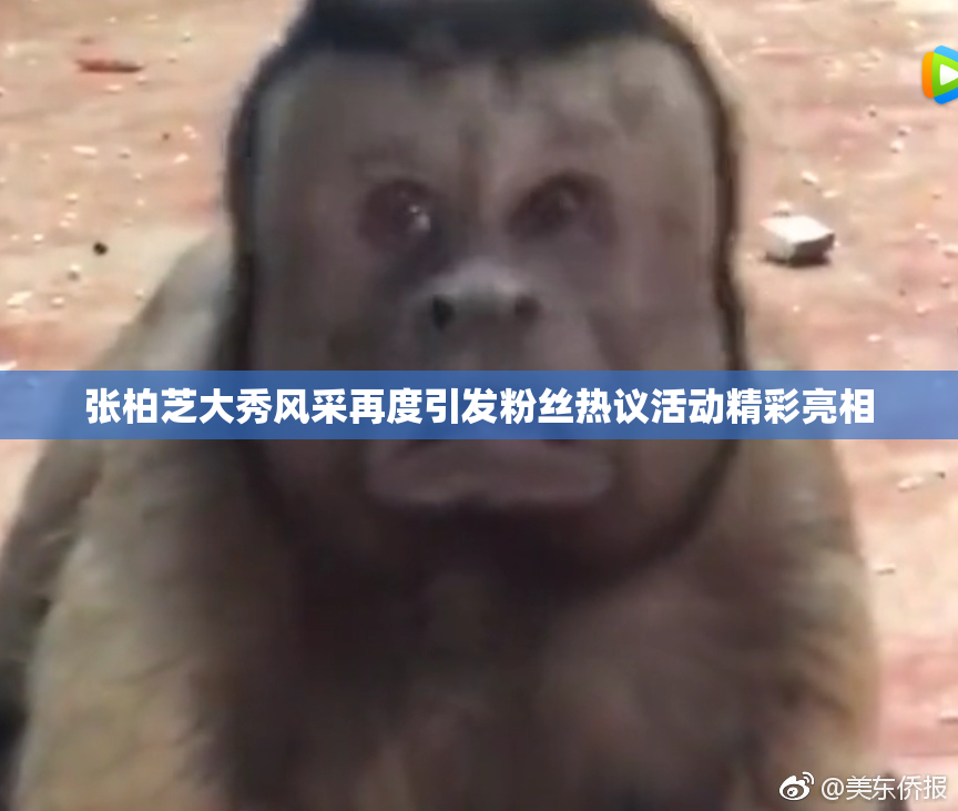 张柏芝大秀风采再度引发粉丝热议活动精彩亮相