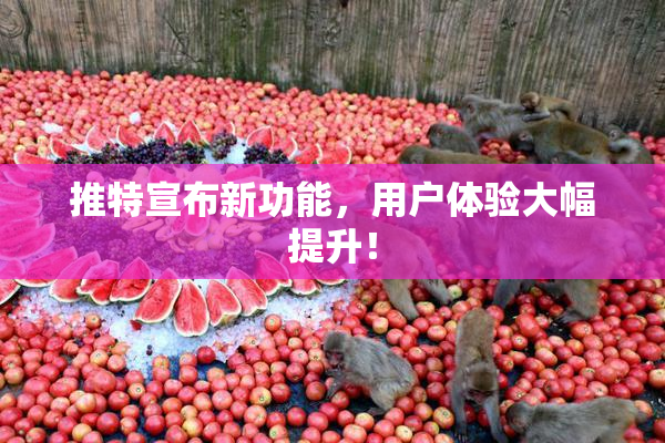 推特宣布新功能，用户体验大幅提升！