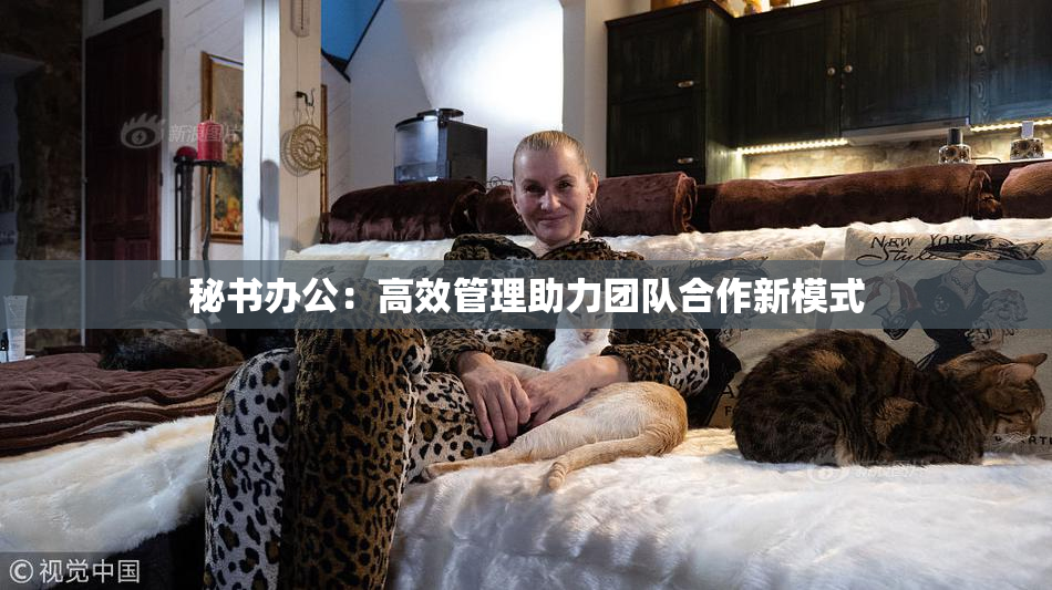秘书办公：高效管理助力团队合作新模式