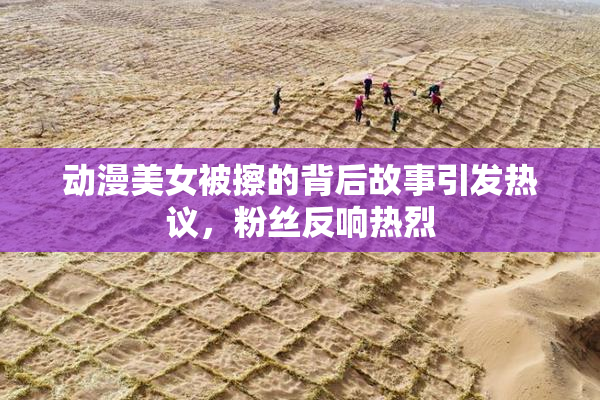 动漫美女被擦的背后故事引发热议，粉丝反响热烈