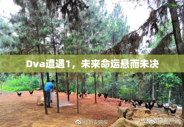 Dva遭遇1，未来命运悬而未决