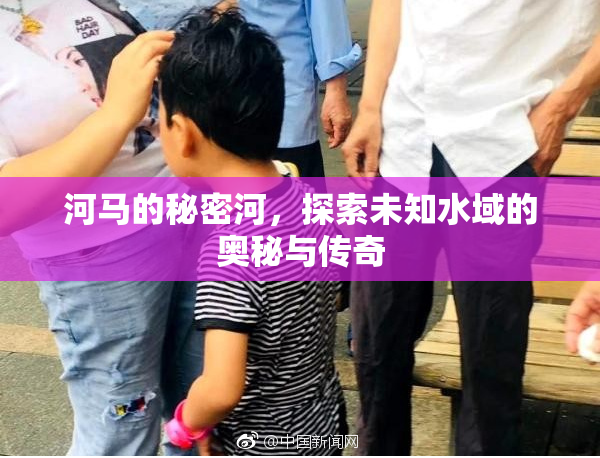 河马的秘密河，探索未知水域的奥秘与传奇