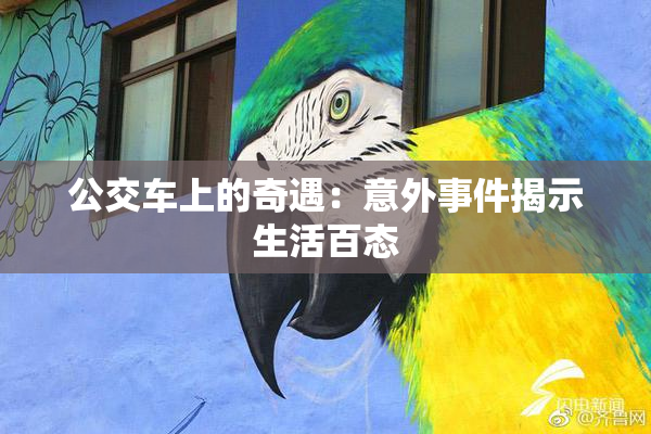 公交车上的奇遇：意外事件揭示生活百态