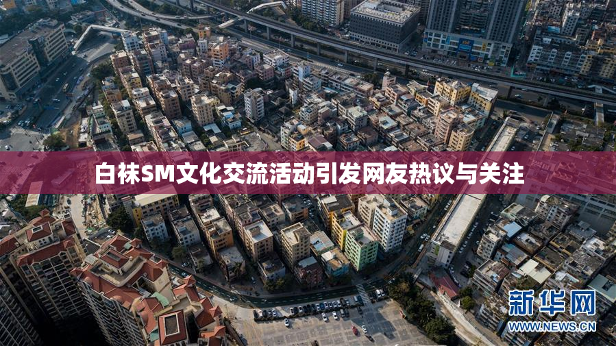 白袜SM文化交流活动引发网友热议与关注