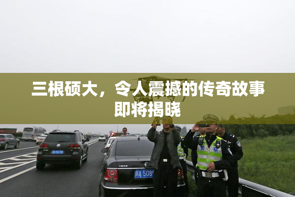 三根硕大，令人震撼的传奇故事即将揭晓