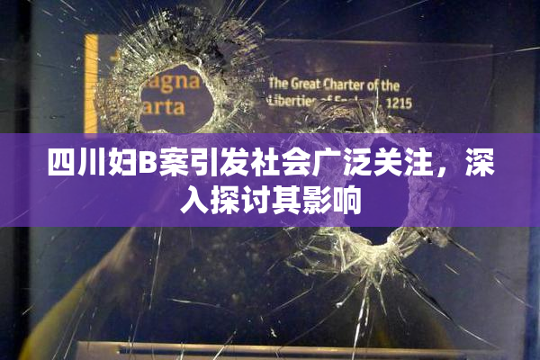 四川妇B案引发社会广泛关注，深入探讨其影响