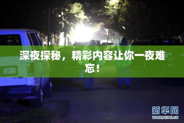 深夜探秘，精彩内容让你一夜难忘！
