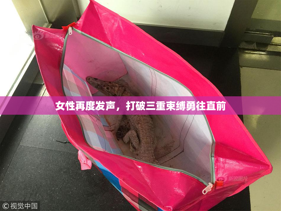 女性再度发声，打破三重束缚勇往直前