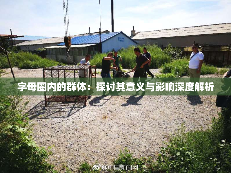 字母圈内的群体：探讨其意义与影响深度解析