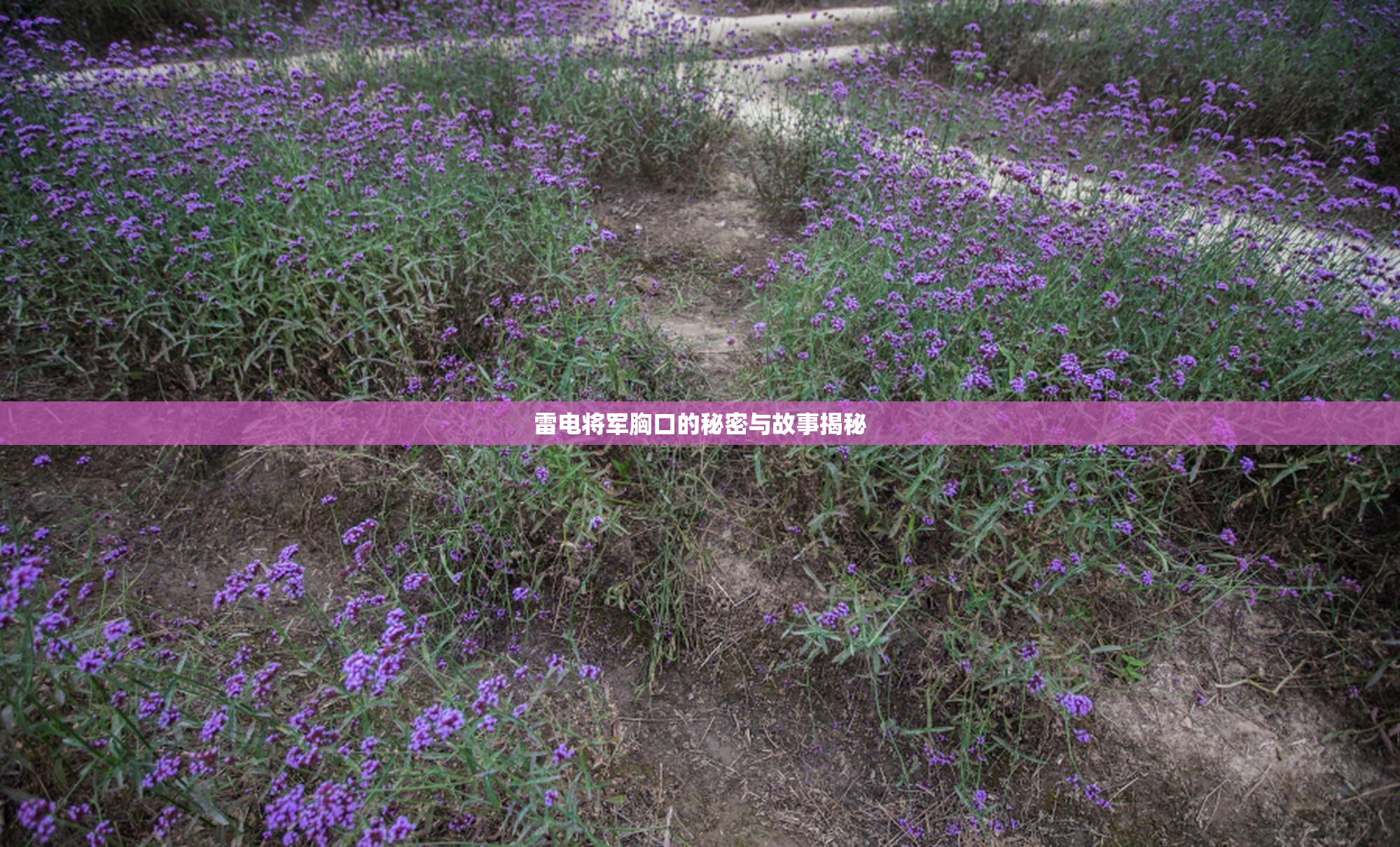 雷电将军胸口的秘密与故事揭秘