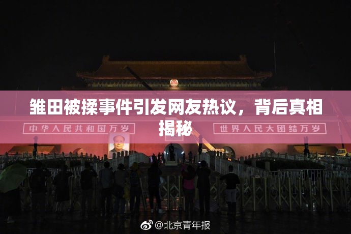 雏田被揉事件引发网友热议，背后真相揭秘