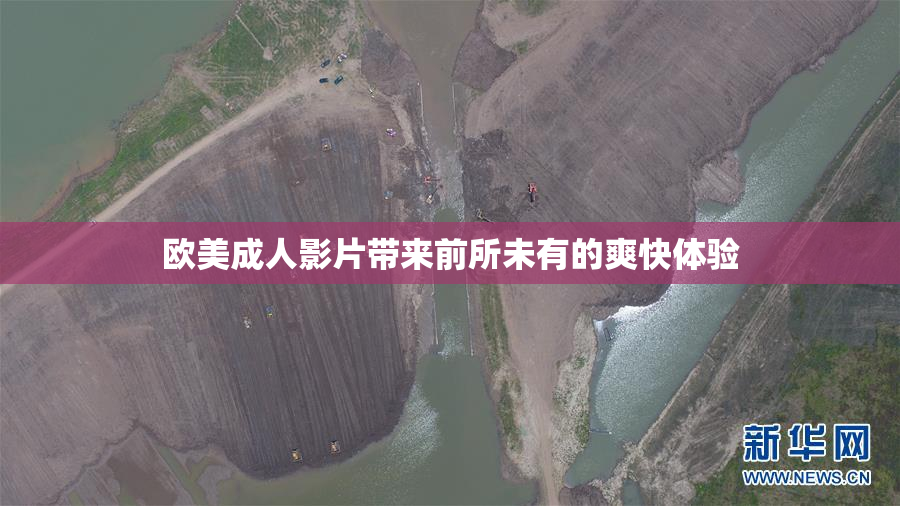 欧美成人影片带来前所未有的爽快体验