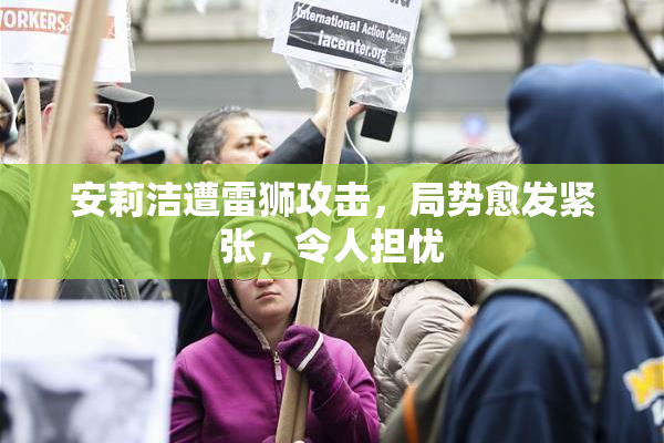 安莉洁遭雷狮攻击，局势愈发紧张，令人担忧