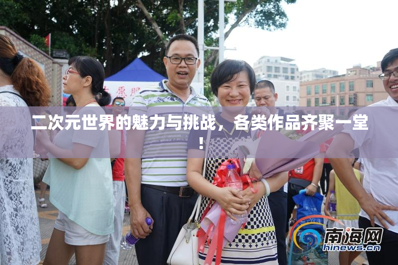 二次元世界的魅力与挑战，各类作品齐聚一堂！