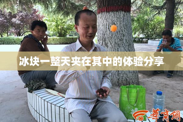 冰块一整天夹在其中的体验分享