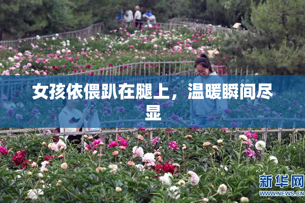 女孩依偎趴在腿上，温暖瞬间尽显