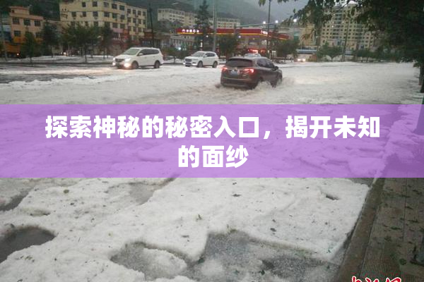 探索神秘的秘密入口，揭开未知的面纱