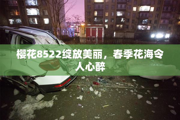 樱花8522绽放美丽，春季花海令人心醉