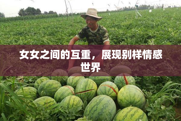 女女之间的互重，展现别样情感世界