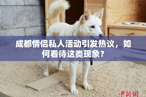 成都情侣私人活动引发热议，如何看待这类现象？