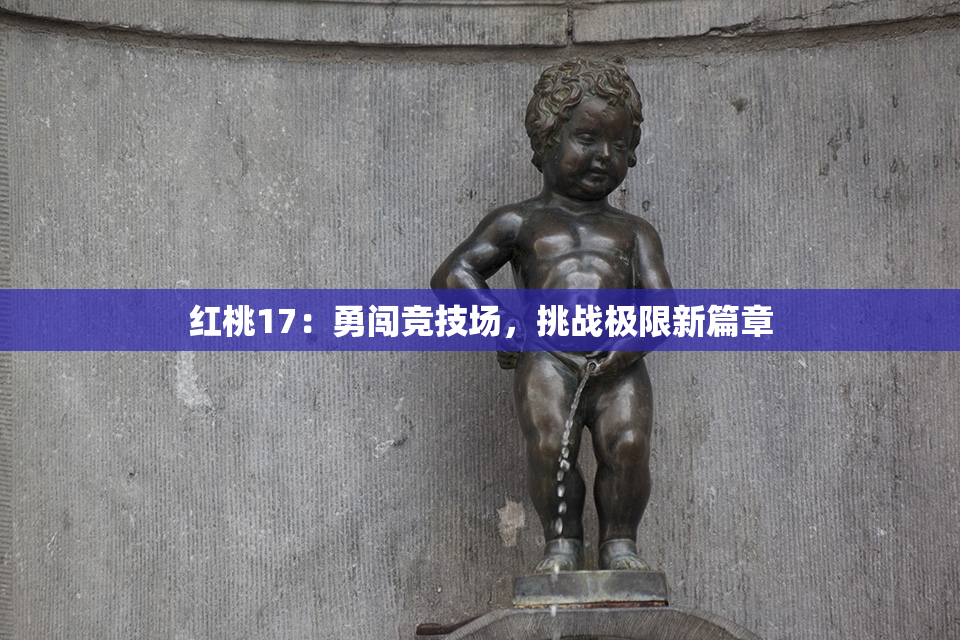 红桃17：勇闯竞技场，挑战极限新篇章