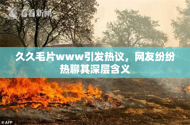久久毛片www引发热议，网友纷纷热聊其深层含义