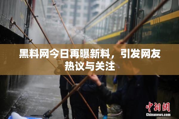黑料网今日再曝新料，引发网友热议与关注