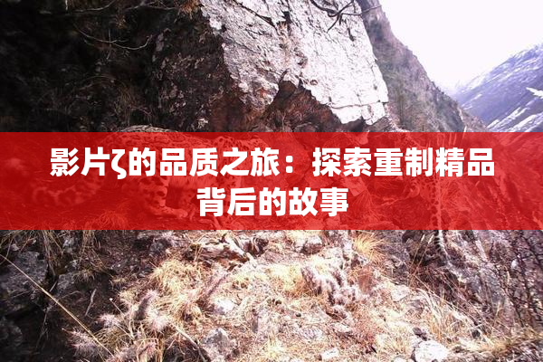 影片ζ的品质之旅：探索重制精品背后的故事